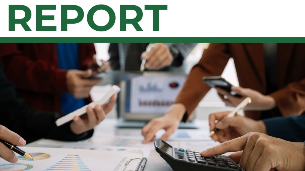Annual Asset Report2